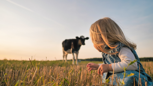 Colostrum_430398883